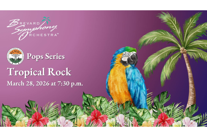 BSO Tropical Rock Flyer