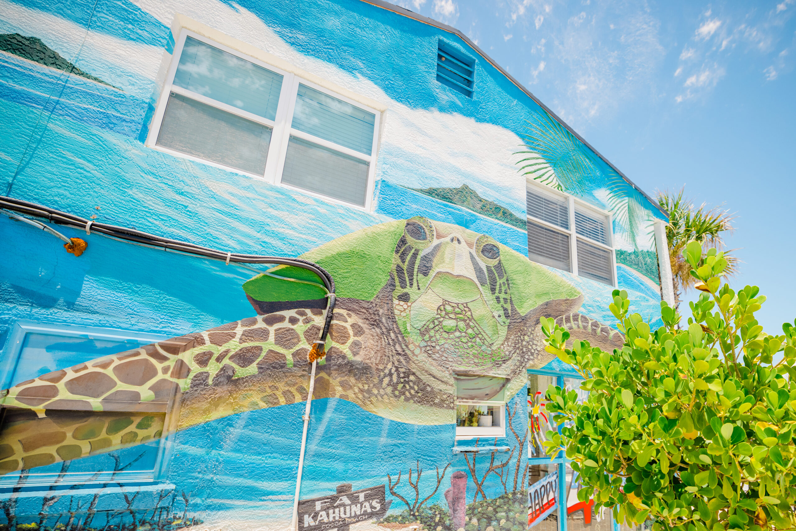 turtle mural in downtown cocoa beach