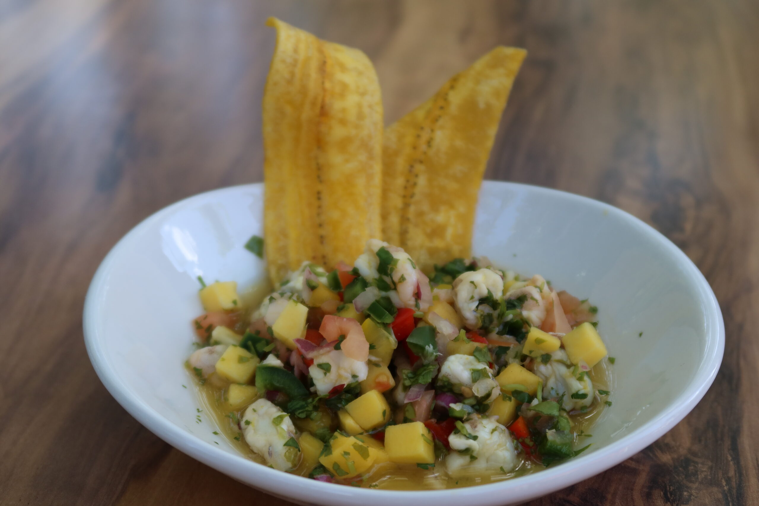 Hola! Cuban Kitchen Fall is for Foodies