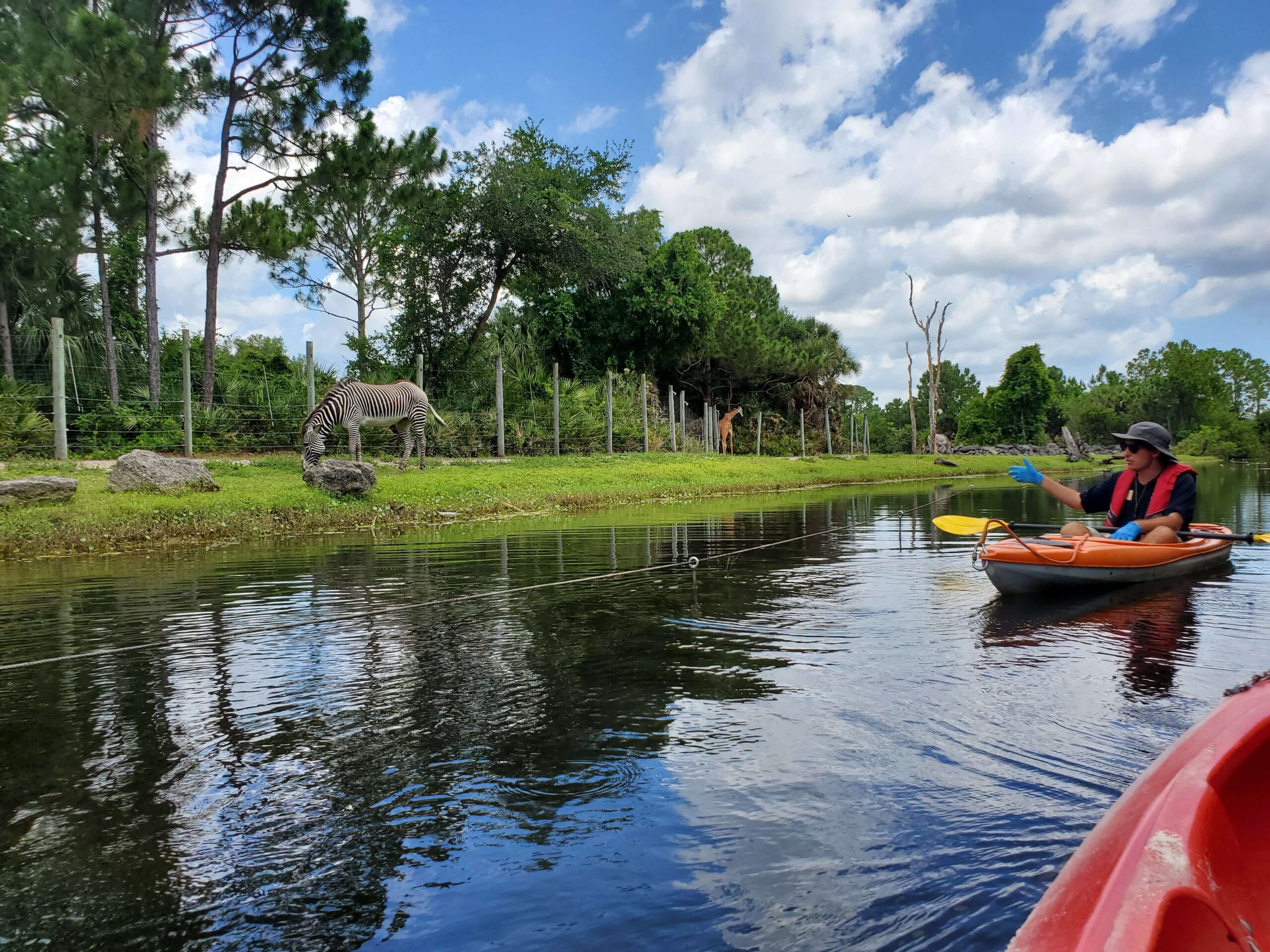 Kayaking at the Brevard Zoo