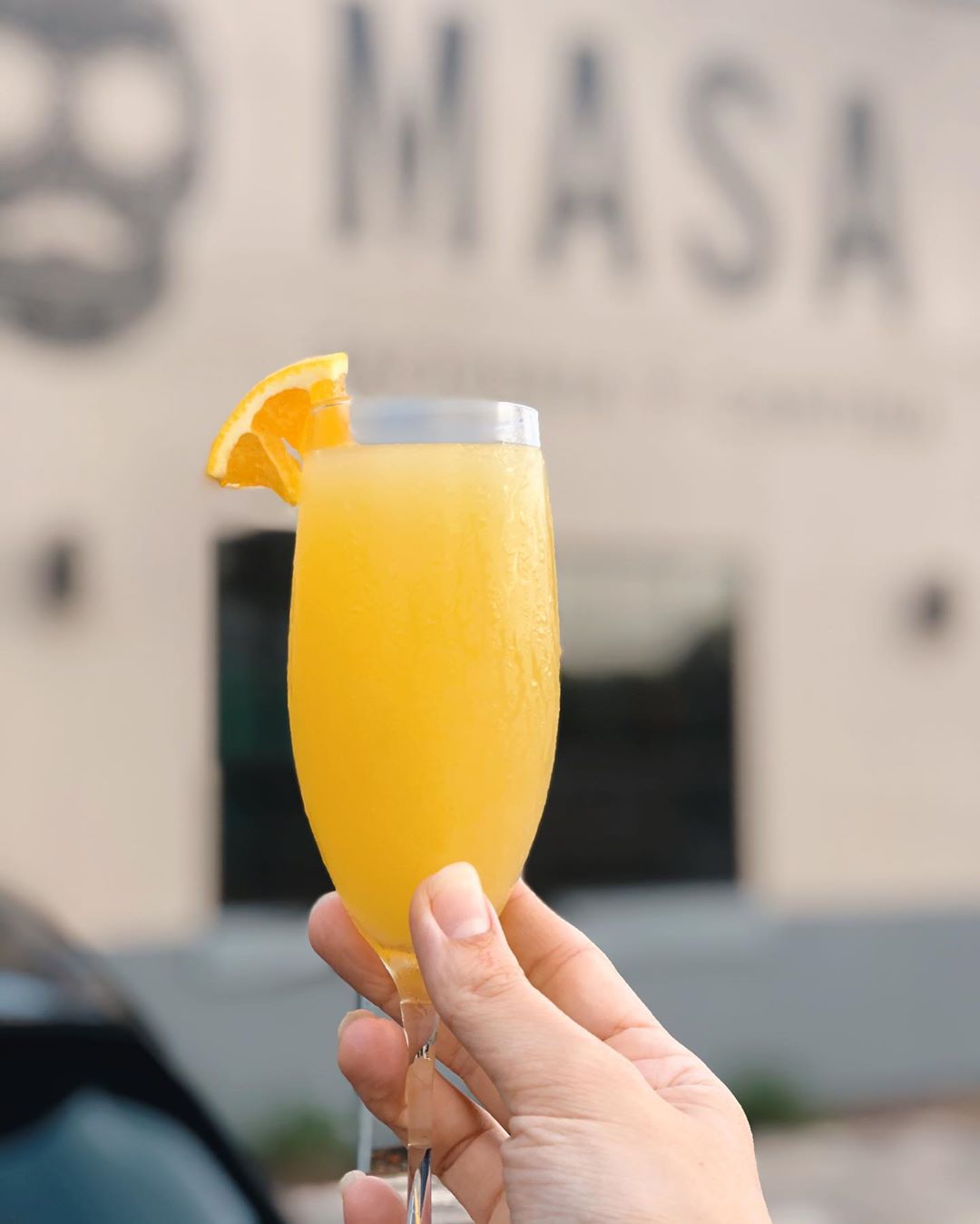 masa mimosa